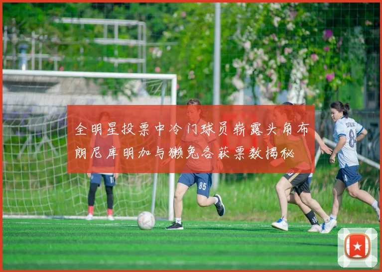 全明星投票中冷门球员崭露头角布朗尼库明加与獭兔各获票数揭秘